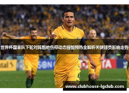 世界杯国家队下轮对阵前瞻伤停动态提前预热全解析关键球员影响走势